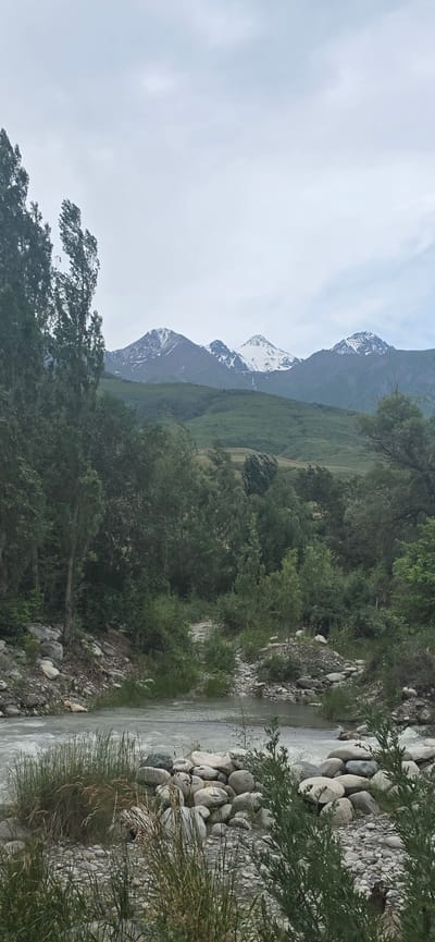 The image depicts a natural landscape with a river in the foreground and mountains in the background. The river flows over a rocky bed, with dense green foliage on its banks. Tall trees line the left side of the image, their branches reaching towards the overcast sky. In the distance, a range of mountains rises, their peaks capped with snow. The overall scene suggests a rural or wilderness setting, possibly in a mountainous region. The location is identified as Kashka-Suu, Kyrgyzstan.