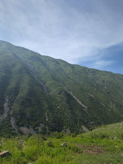 The image presents a view of a mountain slope, likely in Chunkurchak, Kyrgyzstan, characterized by varying shades of green vegetation and rocky outcrops. The sky above shows a mix of blue and white clouds. The right side of the image depicts a grassy area with patches of yellow flowers, potentially at the mountain's base. Sparse vegetation patterns suggest natural erosion or trails across the slope. A barbed wire fence is visible in the lower right portion of the image.