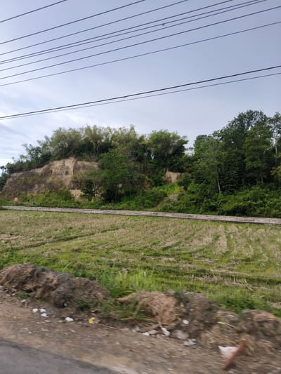 The image depicts a rural or semi-rural landscape under an overcast, light blue-grey sky. Several dark, parallel power lines stretch horizontally across the upper portion of the sky.

In the midground, a prominent, steep earthen embankment or hill dominates the scene. Its central section reveals exposed, eroded soil in shades of light brown and beige, while its upper slopes and crest are densely covered with vibrant green trees and bamboo clusters. Smaller green foliage and shrubs also grow at the base of the embankment.

Below the embankment, a long, low concrete barrier or wall runs horizontally, acting as a clear boundary. In front of this barrier lies a wide, flat field, likely a harvested paddy. The field shows a mix of light green growth and straw-colored stubble arranged in distinct parallel lines, indicative of agricultural activity.

The immediate foreground is blurred, suggesting the photo was taken from a moving vehicle. This area consists of a rough, dirt or gravel roadside with scattered piles of dark soil and dry plant matter. Visible litter, including white and yellow plastic debris, is interspersed within this foreground.

A small, red rectangular sign with unreadable white text is partially visible at the base of the embankment on the left side. The diffused light from the overcast sky suggests either early morning, late afternoon, or a generally cloudy day. The scene captures a moment in a natural setting, showing human impact through the power lines, agricultural field, and scattered refuse. The location is Grong-Grong, Indonesia.