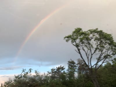 The image shows a rainbow arching across a cloudy sky, with trees in the foreground. The scene appears to be outdoors, possibly in a rural or suburban area. The lighting suggests it may be daytime, with the sun partially obscured by clouds, creating a diffused light. The trees are green and appear to be deciduous, with a few bare branches visible on the tree on the right. The sky is a mix of light gray and white clouds, with a hint of blue sky peeking through. There are no people or animals visible in the image. The image is slightly blurred, possibly due to motion or a low-resolution camera. Without additional information, it is impossible to determine the exact location within Innisfil, Canada.