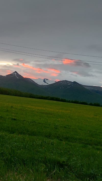 A landscape image captured in the city of Lesnoi, Russia, depicts a view of mountains under a cloudy sky with patches of pink and orange hues, suggesting either sunrise or sunset. In the foreground, a vibrant green meadow stretches across the frame, dotted with small yellow flowers. A line of trees separates the meadow from the base of the mountains. Three power lines are visible traversing the upper portion of the image against the sky. The mountains themselves are covered in lush green vegetation on their lower slopes, transitioning to snow-capped peaks in the distance.