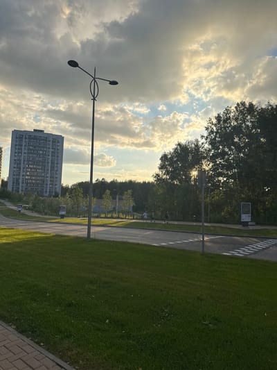 This is a vertical, full-shot photograph of a street scene in Koltsovo, Russia, likely taken during the late afternoon or early evening due to the warm, angled sunlight. The sky is filled with dramatic, fluffy clouds, illuminated by the sun which is partially obscured by trees, creating a luminous effect.
The foreground on the right is dominated by a lush green lawn bordered by a brick pathway. To the left of the lawn is a paved road with white dashed lines and a pedestrian crossing marked by black and white stripes. A modern streetlamp with three oval lights stands prominently in the middle left of the frame. Further back, a tall, multi-story residential building with numerous windows is visible. Beyond the road and the building, a dense line of trees forms the background, with some smaller trees and bushes lining the road.
There are a few people visible on the pedestrian path near the road, but they are small and not the focus of the image. The overall mood is serene and perhaps a little dramatic due to the sky's appearance.
There is some text visible on a signpost near the trees, but it is too small to be legible.