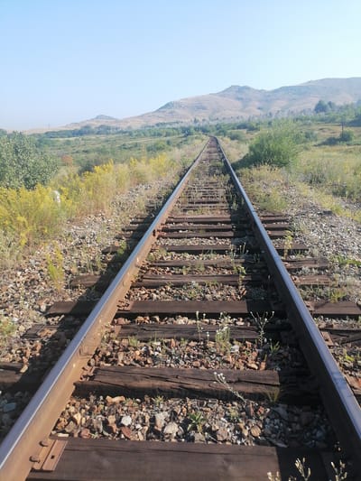 A low-angle, eye-level shot looks down a set of weathered train tracks disappearing into the distance. The tracks are made of rusty metal rails bolted to wooden sleepers, which are themselves covered in gravel and sparse green vegetation. The surrounding landscape is dry and overgrown, with yellow wildflowers dotting the sides of the tracks. In the background, rolling hills covered in sparse trees and dry grass meet a clear, pale blue sky. The scene appears to be located in an undeveloped area, possibly on the outskirts of the city of Zaretşnoe, Kazakhstan, given the arid environment and the presence of an abandoned or disused railway line. There are no people or animals visible in the image. The overall impression is one of neglect and the passage of time in a rural or semi-rural setting.