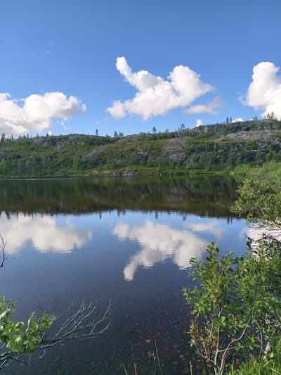 This is a landscape photograph of a serene lake with a rocky, vegetated hill in the background. The sky is a clear blue with scattered white cumulus clouds, which are reflected in the still water of the lake. The hill is covered in green shrubs and trees, with visible rocky outcrops. In the foreground, on the right side of the image, is a cluster of green leafy bushes. On the left side, a bare, thin branch extends into the frame from the top left corner. The water is clear enough to see the stony bottom near the shore. The scene depicts a natural environment, likely in a rural or wilderness area, possibly near Nyby, Norway, given the rugged terrain and vegetation. There are no people or man-made structures visible in the image.