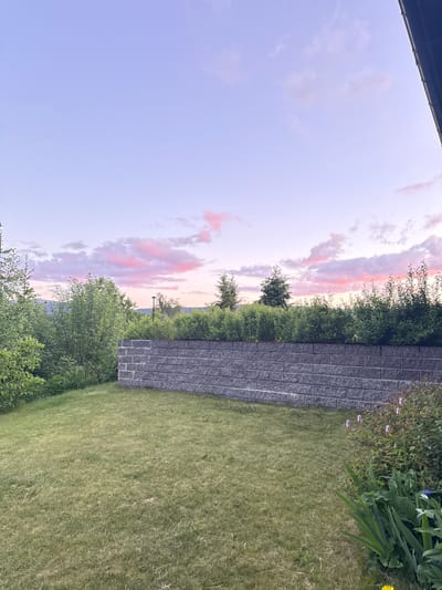 The image depicts a backyard scene at dusk in Åmot, Norway. The sky is a gradient of soft purple and pink hues, with scattered clouds tinged with pink. In the foreground, a well-maintained green lawn occupies the majority of the frame. A gray stone retaining wall runs horizontally across the middle ground, separating the lawn from a lush, dense hedge of green bushes that forms a backdrop. Behind the hedge, several evergreen trees and deciduous trees are visible, with distant hills or mountains suggested in the far background. To the right side of the frame, in the foreground and bordering the lawn, is a garden bed with green foliage, some delicate pink flowers, and a small blue flower. The overall impression is one of a tranquil evening in a residential setting, with nature and well-kept landscaping. There are no people or animals visible in the image.