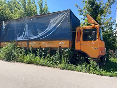 The image shows an abandoned orange truck, heavily overgrown with greenery, parked on the side of a paved road. The truck is tilted, with its front end facing upwards and its cargo bed, covered with a blue tarp, extending towards the lower right of the frame. The blue tarp appears weathered and has some creases and a small rip visible.
The truck is situated next to a patch of dense vegetation and trees, which are encroaching on the vehicle. The growth is so thick that it almost completely obscures the truck's rear wheels and parts of its chassis. The scene suggests neglect and the passage of time, with nature reclaiming the man-made object.
Graffiti is visible on the yellow wooden panels of the truck's cargo bed. Some of the graffiti appears to be in Cyrillic script, consistent with the provided location context of Русская Борковка, Russia.
The lighting suggests it is daytime, with bright sunlight casting shadows and illuminating the scene. The sky is clear and blue, indicating fair weather. The overall mood is one of stillness and decay, a contrast between the man-made and natural elements. The image is captured from a low angle, looking upwards at the truck and the surrounding foliage.