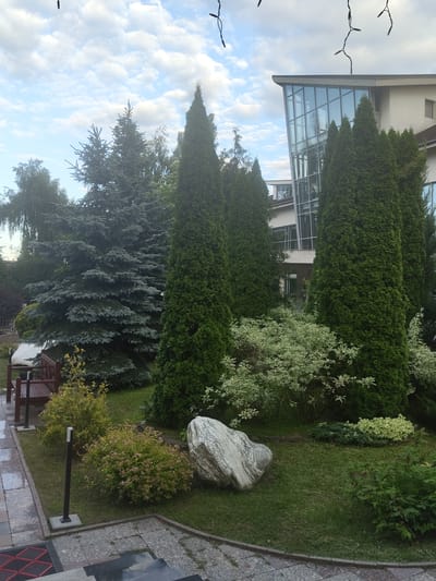 The image depicts an outdoor scene with a building and landscaping in Цибино, Russia. In the foreground, a pathway paved with grey and patterned tiles leads to a set of stone steps. To the left of the pathway, a wooden bench sits on a patch of grass, adjacent to a small, yellow-leaved bush. Further into the scene, a large, light-colored boulder with grey veining is prominently displayed on the lawn. Several tall, conical evergreen trees, likely cypresses, dominate the mid-ground, interspersed with a bush featuring variegated white and green leaves. Behind these, a large blue spruce tree is visible, along with other assorted greenery. In the background, a modern building with a distinctive angled glass facade rises above the trees. The sky above is partly cloudy with a blue hue. Strings of small lights are visible hanging from above, suggesting a decorative element. No people are present in the image.