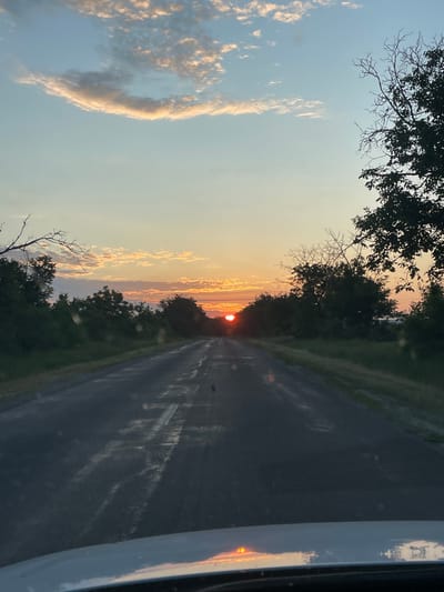 This is a portrait orientation photograph taken from inside a vehicle. The scene is a rural road in Moldova at sunset. The road ahead is dark asphalt, with some wet patches and tire tracks visible. On either side of the road are trees and green foliage. The sky is a pale blue with streaks of orange and pink clouds, indicating the sun is setting or has just set. The sun itself is a small, bright orange orb just above the horizon, visible in the distance down the road. There are some silhouetted tree branches in the foreground at the top of the image, and a bare, spindly tree branch is visible in the lower left portion of the frame. The overall mood is peaceful and serene, capturing the beauty of a rural sunset. There is no visible text in the image.