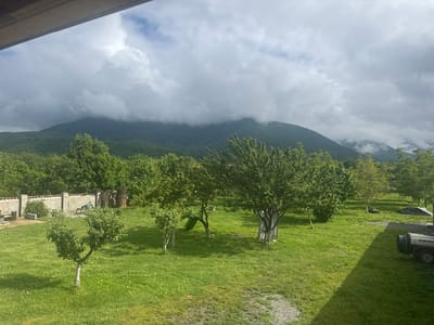 The image shows a grassy yard in Artana, Georgia. A mountain covered with trees is partially obscured by clouds in the background. In the yard, there are several trees, some with white-painted trunks. A stone wall runs along the left side of the yard, and a small trailer is parked on the right. The weather appears overcast.
