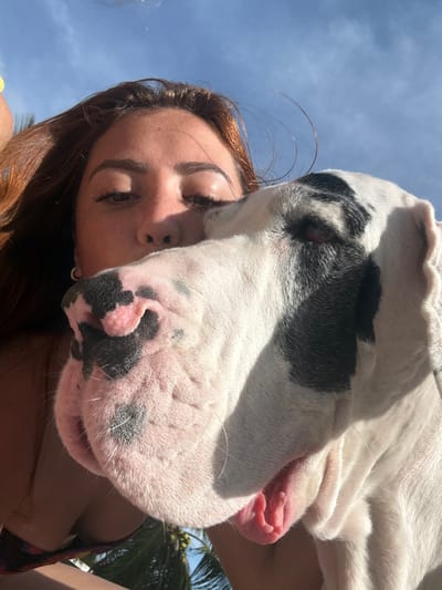 A low-angle shot captures a woman and a Great Dane. The woman is facing left with her eyes closed, her face pressed against the dog's. The dog, predominantly white with black patches, is positioned above her. The sky is visible in the background, along with the top of a palm tree. The woman has long, reddish-brown hair and is wearing a colorful top. The dog's nose, close to the camera, is covered in black spots.
