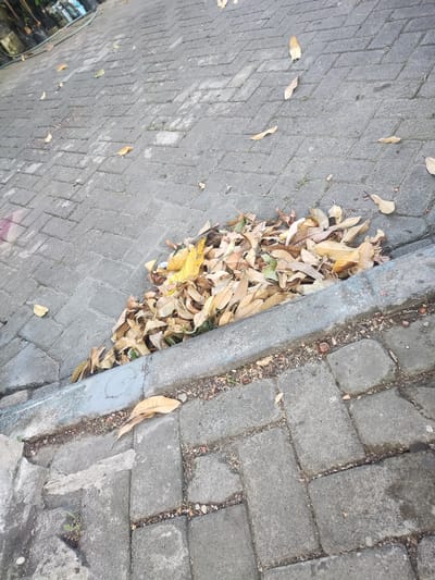 The image shows a pile of dry, fallen leaves gathered along a concrete curb on a paved walkway. The walkway is constructed of interlocking rectangular pavers laid in a herringbone pattern. Some individual dry leaves are scattered across the paver surface. The environment appears to be outdoors, likely in a public area given the paver construction. There are no people visible in the image. The lighting suggests it is daytime. The location is identified as Sidokepung, Indonesia, implying an urban or suburban setting.