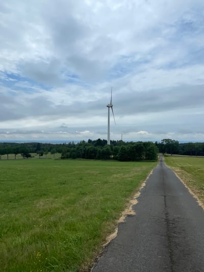 The image depicts a rural landscape near Schwarzenborn, Germany, on a cloudy day. A paved road stretches into the distance, flanked by green fields. On the left, a large field of tall grass with scattered yellow wildflowers is visible. On the right, the road leads towards a line of trees and a cluster of deciduous trees forming a small wooded area. Beyond the trees, a tall white wind turbine with red accents stands prominently against the overcast sky. A few scattered trees are also visible in the middle ground, with a tree line forming the horizon in the distance. The overall scene conveys a sense of open space and renewable energy infrastructure within a natural setting.