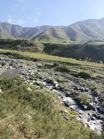 The image depicts a natural landscape dominated by mountains, a stream, and vegetation. In the background, large, verdant mountains with undulating slopes rise against a clear blue sky with scattered white clouds. The midground features rolling hills covered in green grass and patches of dry vegetation. A narrow stream with rocky banks winds through the lower portion of the image. The stream bed is filled with various-sized rocks, and the water appears clear and shallow, with some areas showing small ripples. The foreground is densely populated with green bushes and smaller plants, some with visible white and yellow flowers. The scene suggests a rural or wilderness setting, likely in a mountainous region. No human elements or structures are directly visible in this particular frame. The overall impression is one of a serene and untouched natural environment. This scene is located in the vicinity of Kalaynay, Tajikistan, a region known for its mountainous terrain and natural beauty.