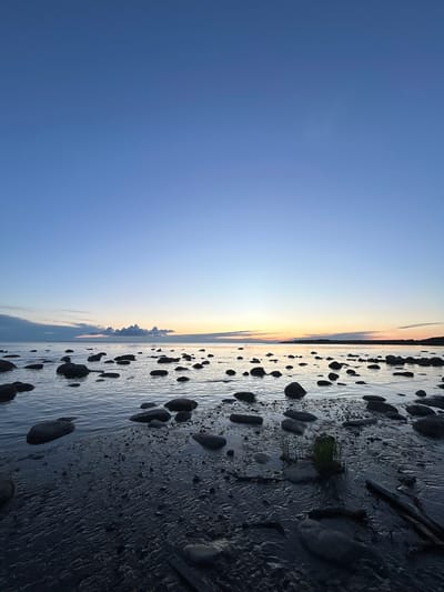 The image depicts a serene seascape at dusk or dawn, likely along the coast of Haabneeme alevik, Estonia. The sky is a gradient of deep blue at the top, transitioning to lighter blues and pale oranges near the horizon, suggesting the sun is either rising or setting. A few elongated clouds are visible on the left side of the frame. The water is calm, reflecting the subtle colors of the sky. Scattered across the water and along the shoreline are numerous dark, rounded rocks of varying sizes. The foreground shows a wet, dark sandy or muddy shore with more rocks and some scattered debris, including a piece of driftwood. Patches of green grass are growing in the shallow water near some of the rocks. The scene is devoid of people and any discernible activity, presenting a tranquil natural environment.
