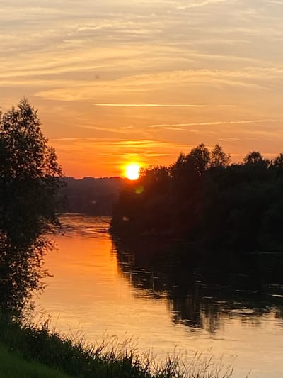 This is a photograph of a sunset over a body of water, likely a river, in Rinteln, Germany. The sun is a bright orange orb peeking over a silhouetted treeline, casting a warm, golden glow across the sky and the water. Wispy clouds streak across the sky, painted with the colors of the sunset. The water reflects the vibrant sky and the dark silhouettes of trees on the opposite bank. The foreground features a dark, leafy tree branch on the right and a cluster of similar foliage at the bottom. The overall mood is serene and peaceful, capturing the beauty of nature at dusk. There is no visible text in the image.