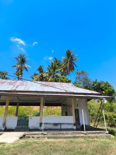 The image depicts an outdoor scene on a sunny day with a bright blue sky. In the foreground, there is a simple, open-sided building with a weathered, corrugated metal roof. The building has concrete pillars supporting the roof and a white wall with a wooden door. A green wooden gate is visible on the left side of the building. There are steps leading up to the building. In front of the building, there is a small patch of dry grass and some concrete.

Behind the building, a sloping hillside is covered with green grass and lush vegetation, including several tall palm trees. Some of the palm trees are mature with visible coconuts, while others are younger. The background is dominated by the vibrant blue sky, with a few scattered white clouds.

To the right of the building, a wooden A-frame structure supports two large white speakers. A ladder leans against the structure. There are also some trees and bushes on the right side of the image. The overall impression is a rural or semi-rural setting, likely in a tropical climate. The location is identified as Julitambotanjung, Indonesia.