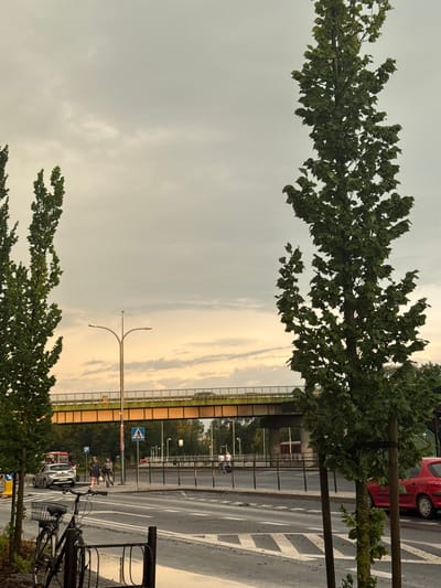 This image depicts an urban scene in Wolsztyn, Poland, likely near a main thoroughfare, as evidenced by the presence of a road, vehicles, and pedestrian activity. The sky is overcast with a soft, diffused light, suggesting it might be early morning, late afternoon, or a cloudy day.

In the foreground, a black bicycle is parked, leaning against a metal rack. Two trees with dense green foliage flank the scene, one on the left and a larger one dominating the right side of the frame. The road surface is wet, indicating recent rain, and features white lane markings, including a pedestrian crossing.

Further into the scene, a silver hatchback car is parked on the side of the road. A red bus is visible behind it. Two individuals, a woman in a dark dress and a man in a light-colored shirt and dark pants, are walking on the sidewalk. A blue pedestrian crossing sign with a white human figure is visible.

In the background, a significant overpass or bridge structure with green railings and yellow accents spans across the road. The bridge appears to be elevated and carries traffic. Beyond the bridge, trees and other structures are visible, suggesting a built-up area. A red car is parked on the right side of the road.