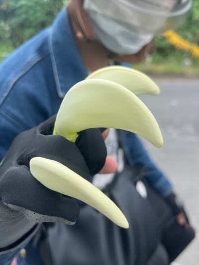 A gloved hand holds a cluster of pale green, horn-shaped flowers. The flowers are smooth and curved. The person is wearing a blue denim shirt and a white face mask. A black backpack sits nearby. The background is blurred, but there is a glimpse of green foliage.