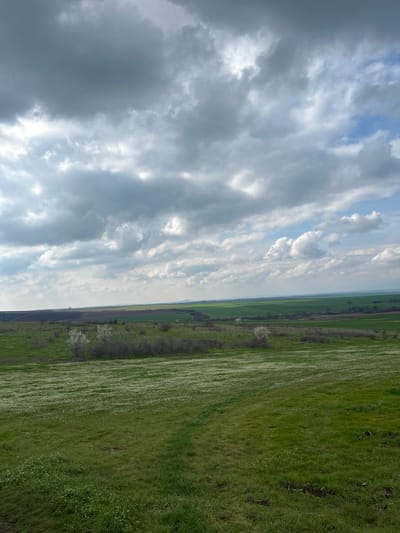 The image depicts a landscape in Irechekovo, Bulgaria, featuring a green field with a boundary of shrubs or trees. The field appears to be covered in grass, with some patches of what might be wildflowers scattered throughout. A strip of different colored vegetation runs parallel to the edge of the field, separating it from another field. The sky occupies a significant portion of the image, showcasing a cloudy sky with patches of blue visible through the cloud cover.