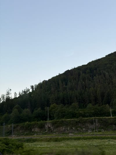 The media file shows a forest-covered mountainside with a clear sky on the left and a grassy field on the right. The image is oriented vertically, so the sky is on the left side of the frame and the mountain is on the right. The forest is dense with tall, dark green trees. Along the base of the mountain, there appears to be a rocky embankment with some vegetation. A railway track runs along this embankment, marked by two sets of metal poles that likely support overhead power lines for electric trains.
To the right of the railway track, there is a vibrant green field with patches of white, possibly wildflowers. The lighting suggests it is daytime, with the sky being a pale blue. There are no people or animals visible in the image. The scene depicts a natural landscape with man-made infrastructure, indicating a rural or semi-rural setting, possibly a scenic route for a train journey. The overall impression is one of tranquility and the beauty of nature.
There is no visible text in the image.