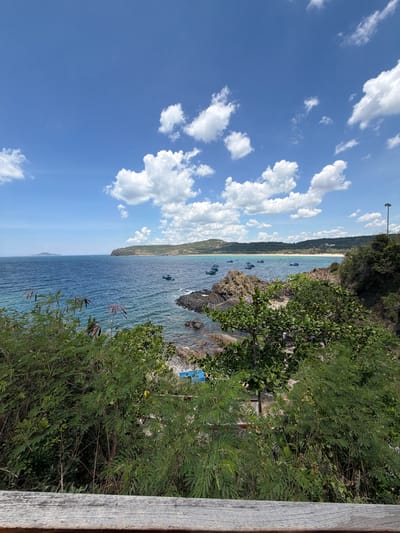 The image captures a scenic view of a coastline in Phú Lương, Vietnam. The foreground is dominated by lush green foliage, with a weathered wooden railing in the very bottom. Beyond the vegetation, the vibrant blue ocean stretches towards the horizon, dotted with several small fishing boats. Rocky outcrops are visible along the coastline, and further in the distance, a sandy beach curves along the shore, backed by rolling hills covered in vegetation. The sky above is a clear blue, with scattered white cumulus clouds. A single lamppost stands on the right side of the frame, indicating some form of development near the coast. The overall impression is one of a peaceful and picturesque coastal landscape.