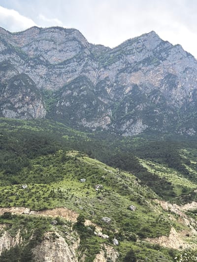 The image shows a steep, rugged mountain range. The upper portions of the mountains are composed of gray rock, with visible layers and fissures. Green vegetation, primarily trees and grass, covers the lower slopes and parts of the upper sections. A road or path is visible winding along one of the lower mountain slopes, cutting through the green terrain. The sky above is overcast with some light clouds. The scene depicts a natural, mountainous environment without any signs of human settlement or activity in the immediate vicinity, other than the rudimentary road. The image is a landscape photograph taken in Zintsar, Russia.