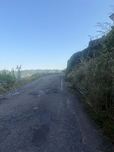 An upward-angled, eye-level shot depicts a curved asphalt road on a sunny day. The road is marked with a broken white line down its center and shows signs of wear, with several patched areas and potholes visible. To the left, a metal guardrail runs alongside the road, bordered by tall, green reeds and grasses. Beyond the guardrail, a hilly landscape unfolds, dotted with scattered buildings. To the right of the road, a steep, overgrown embankment is covered in dense green foliage, with tall, feathery grasses reaching upwards. At the top of the embankment on the right, a portion of a white building with a dark-tiled roof and a metal railing is visible against a clear, light blue sky. The scene suggests a rural or semi-rural setting, possibly on the outskirts of Santo Stefano Belbo, Italy, given the topography and vegetation. There are no people or animals present in the image.