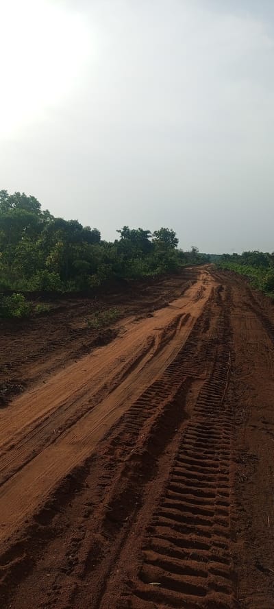 This media file depicts an unpaved dirt road winding through a natural, verdant landscape. The road, made of reddish-brown earth, dominates the lower and mid-ground, stretching from the foreground towards the horizon and gently curving to the right. Prominent, deep tire tracks are etched into the sandy soil, particularly on the right side, suggesting the recent passage of heavy vehicles or machinery.

Dense green vegetation, including trees and bushes, borders both sides of the road, forming a thick natural barrier. The foliage appears lush and untamed, indicative of a tropical or subtropical environment. The sky occupies the upper portion of the image and is bright, hazy, and almost white, suggesting either an overcast day or strong, high sunlight causing overexposure. There are no distinct shadows to clearly determine the exact time of day, but it is certainly daylight.

No people or active events are visible in the image. The scene portrays a quiet, possibly remote or developing area. The characteristic reddish soil and dense bushland are consistent with the provided location context of Otunade, Nigeria. The road appears to be a functional track, possibly an access route for agriculture, forestry, or a construction site, given the appearance of cleared land and vehicle tracks. There is no visible text.