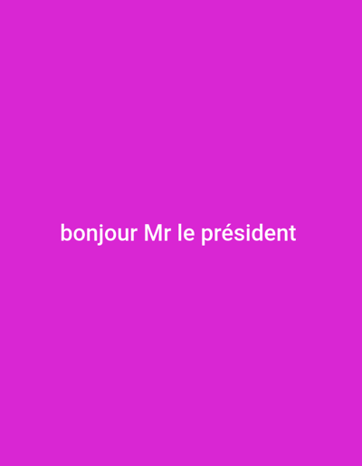A bright pink background displays the white text "bonjour Mr le président." The text is centered and positioned in the lower half of the image. The lettering is clear and legible against the solid pink backdrop.
