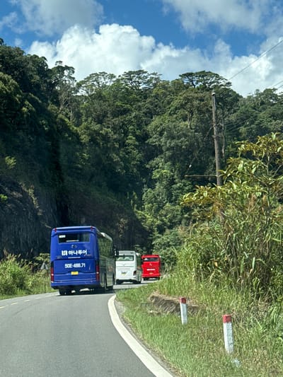 The image captures a winding road in the city of Lac Duong, Vietnam, flanked by lush green foliage and a steep, rocky mountainside on the left. The road surface is asphalt, marked with a white line. Several vehicles are visible, including a large blue tour bus with Korean writing on the back, a white mini-van, and a red bus further ahead. The blue bus displays the license plate "50E-466.71". The environment is characterized by dense vegetation, including tall grass and trees, and a bright blue sky with scattered white clouds. The scene suggests a travel route through a mountainous or hilly region, possibly a scenic area.