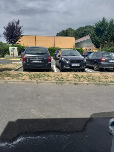 A dark-colored Citroën Xantia, license plate CE 812 OL, is parked in a lot with a dark-colored Peugeot 308 to its right. The Peugeot's license plate is FG 989 DZ. Behind the Peugeot is a dark-colored Audi A3, license plate GB 564 J. In the background, a yellow building with a green roofed structure is visible, along with several evergreen trees. A tree with dark leaves is on the left side of the image, near a recycling bin labeled "PAPIERS". The scene appears to be a parking lot in Roissy-en-Brie, France.