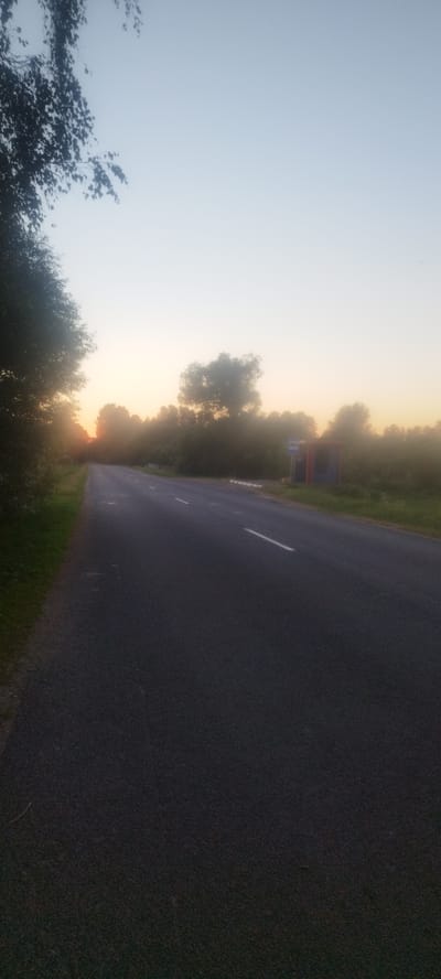 A rural road stretches into the distance under a pale, hazy sky at dawn or dusk. Trees line the left side of the road, with their foliage silhouetted against the bright sky. On the right side of the road, a small bus stop shelter with a red roof and blue sides is visible, along with a blue signpost. The road itself is asphalt with white lane markings. The surrounding environment appears to be a natural landscape, possibly agricultural or undeveloped land, with greenery visible on the verges of the road. The overall atmosphere is serene and quiet.