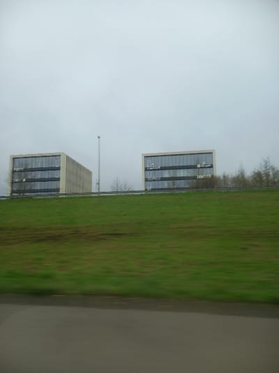 The image depicts an outdoor scene in Waregem, Belgium, characterized by an overcast, light grey sky dominating the upper half of the frame. The lower portion of the image shows a dark grey asphalt road surface and an ascending green grassy embankment, both exhibiting horizontal motion blur. Perched atop the embankment, and partially obscured by bare deciduous trees, are two modern, multi-story rectangular office buildings. The building on the left features a light-colored facade with vertical ribbed panels on its right side and dark glass windows; white logos including "O-" and "Teamleader" are visible on its exterior. The building on the right, similar in construction with dark glass windows, displays the white logos "O-", "Microsoft", and "EASI" on its facade. A single, tall, slender grey utility pole stands between the two buildings. No individuals are present in the scene, and no discernible actions or interactions are occurring.