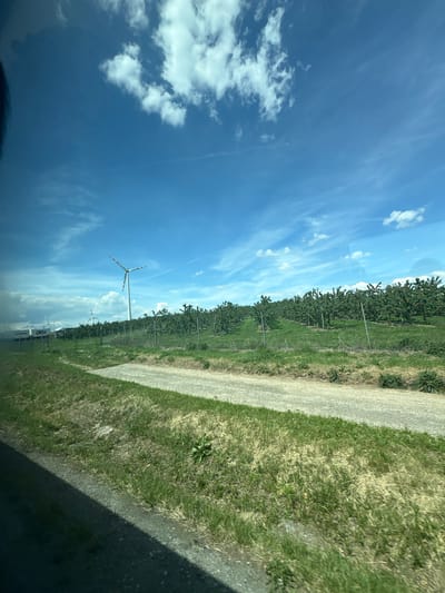 The image depicts a rural landscape in Bruck an der Leitha, Austria. A row of cultivated trees lines a road, with a field of grass bordering it on one side. In the distance, several wind turbines are visible against a backdrop of a blue sky with scattered clouds. The image appears to be taken from a low angle. The bottom right corner of the image features a dark shadow.