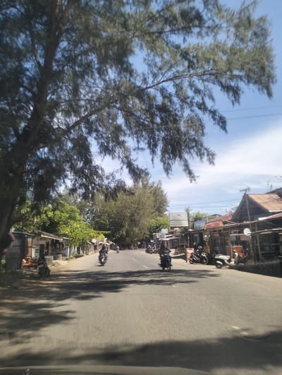 The image depicts a street scene in Tanjungselamat, Indonesia, on a bright, sunny day. The road is paved and appears to be two-lane, with a slight curve to the right. On the left side of the road, there are small, roadside shops with corrugated metal roofs and simple facades, some displaying merchandise. Lush green trees and foliage line the shops. Several motorcycles are visible on the road and parked near the shops.
In the foreground, a person is riding a dark-colored motorcycle. Further down the road, another person is on a lighter-colored motorcycle. A white scooter is parked on the right side of the road in front of a building. The right side of the road also features shops with tiled roofs and wooden structures. Tall trees, some with thin needles, are a prominent feature of the environment, with their branches extending over the road and sky. The sky is a clear blue with a few wispy white clouds. The overall impression is of a moderately busy street in a tropical or sub-tropical locale, possibly a coastal area given the type of trees.
