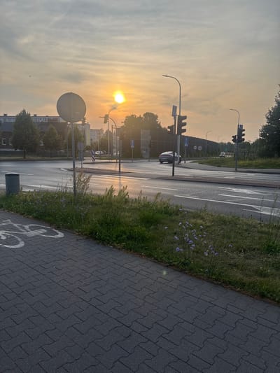 The image depicts a street scene in Kalisz, Poland, during sunrise. The sun is low on the horizon, casting a warm, golden light across the sky and illuminating the road. A traffic intersection is visible with several traffic lights, streetlights, and road signs. Two cars are present on the road, one turning at the intersection and another in the distance. A paved pedestrian and bicycle path runs along the left side of the road, marked with a bicycle symbol. Green grass and wildflowers grow on the median between the path and the road. Buildings and trees are visible in the background. The overall atmosphere is calm and serene, characteristic of early morning in a city.
