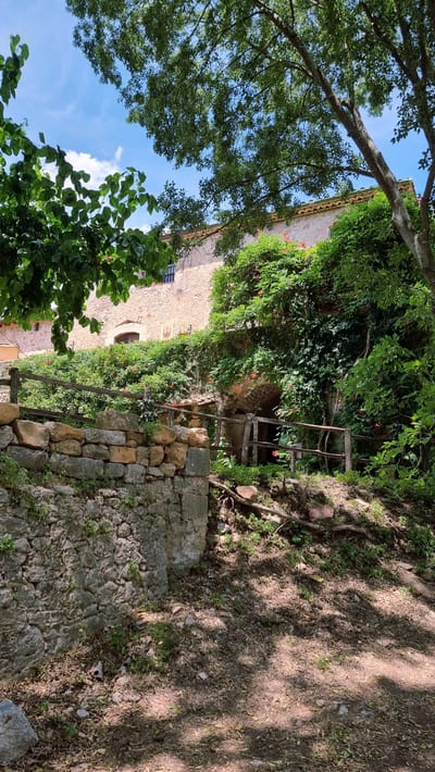 The image depicts a view of a stone building covered in lush green vegetation and some red flowers. A rough stone wall in the foreground leads up to a wooden fence, beyond which the building is situated. The building itself is constructed of stone and has a tiled roof. Several windows are visible on the facade, one of which is dark. The surrounding environment is verdant, with large trees overhead casting dappled shadows on the ground. The sky is visible in the background, with some clouds present. The scene appears to be in a rural or historical setting, possibly a rural property or an old structure. The location is identified as Sales de Llierca, Spain. There are no people visible in the image.