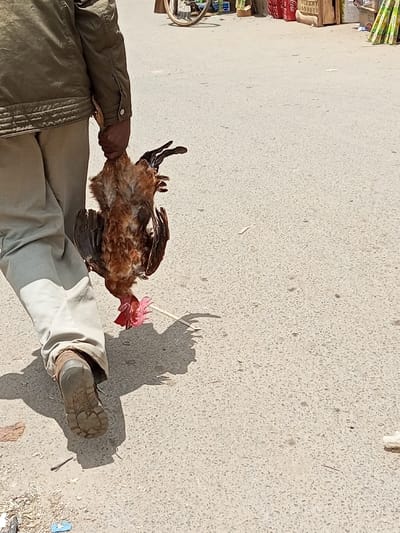 The scene, located in Tala ward, Kenya, captures a partially visible individual walking forward on a light gray paved surface under direct sunlight. The person, viewed from behind, wears an olive-green jacket, light-colored trousers, and brown work boots. The individual's right hand holds a live, brown and black feathered chicken upside down by its feet; the chicken's red comb and wattle are visible near the ground, with its wings slightly extended. Prominent shadows from the person and the chicken are cast on the ground to the lower right. In the background, out of focus, are indicators of a commercial street or market, including a bicycle wheel, stacked red crates, wooden boxes, and various upright items. Minor debris is present on the pavement.