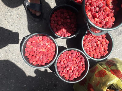 This high-angle shot captures five metal buckets overflowing with fresh, bright red raspberries, resting on a textured concrete or asphalt surface. The scene is bathed in strong sunlight, creating harsh shadows that extend from the buckets and a person standing nearby.

To the upper left, a crumpled yellow plastic bag is visible, adorned with red strawberry illustrations and the text "500Г", suggesting a weight or capacity. This bag hints at packaging or transport for the fruit. The raspberries in the buckets appear ripe and recently harvested.

A person's bare foot, wearing a dark blue or black sandal, is visible in the lower right corner, indicating human presence. The strong light and deep shadows suggest it is a sunny day, likely mid-day or early afternoon. The overall setting appears to be an outdoor market stall, a roadside vendor, or a collection point after a harvest in Ghafurov, Tajikistan. The image conveys a sense of abundance and freshness.