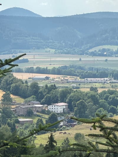 A landscape image taken from a high vantage point overlooks a valley in Chełmsko Śląskie, Poland, during daytime. The foreground features the blurry branches of a coniferous tree. Below, a small village or hamlet is nestled amidst rolling hills covered in dense green trees. Several buildings, including houses and farm structures, are visible. In the middle ground, a long, low building complex with a grey roof, likely an agricultural or industrial facility, is present, along with scattered smaller buildings and fields. Further in the distance, more fields and tree-covered hills stretch out, with a tall communication tower and other masts dotting the landscape. The sky is hazy and light blue. A small herd of horses is grazing in a green field in the lower right portion of the image.