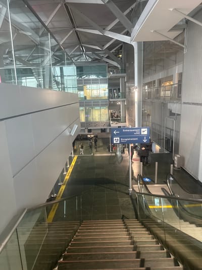 The image depicts the interior of a modern airport terminal, specifically the French sector of Basel-Mulhouse-Freiburg EuroAirport, located in Saint-Louis, France. The perspective is an elevated downward view, looking over a wide, dark-treaded staircase with glass and metal railings that descends towards a lower level.

To the right of the staircase, a descending escalator is visible. The lower level features a dark, polished floor, reflecting ambient light. A bright yellow line on the floor to the left, marked "PASSENGERS ONLY," delineates a path, flanked by stanchions.

In the midground, a tall pole supports two blue, bilingual directional signs. The upper sign indicates "Embarquement Boarding" with an airplane icon and a left arrow. The lower sign indicates "Enregistrement Check-in" with a baggage icon and a downward arrow.

Several individuals are present on the lower level. To the left, beyond the "PASSENGERS ONLY" line, one person in a light jacket stands facing away. Near the sign pole, a small group of approximately four people, mostly in dark clothing, are gathered; one individual wears a red garment. Further in the background, more indistinct figures are visible. A silver waste bin stands to the right of the sign pole.

The overall environment is characterized by a high, multi-story structure with extensive use of glass panels, metal framework, and a complex, exposed overhead truss system supporting the ceiling. Artificial lighting illuminates the interior, creating reflections on glass surfaces and the polished floor.