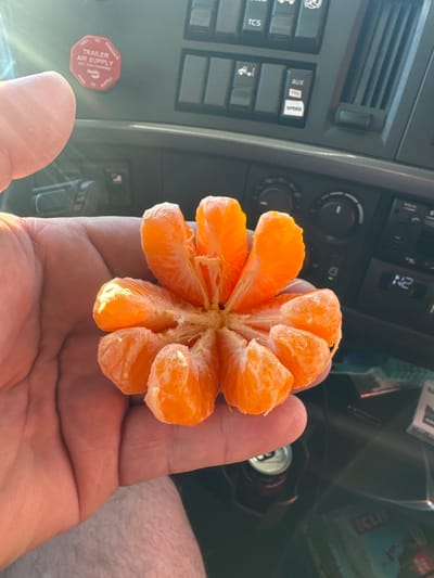 A close-up, slightly overhead shot shows a person's hand holding a peeled mandarin orange, with its segments fanned out. The hand, which is large and appears to be a man's, is positioned in the foreground, with the thumb and part of the palm visible. The mandarin orange, a bright orange color, is the central focus, its segments separated and arranged in a radial pattern.

In the background, the interior of a vehicle's cabin is visible. The dashboard features various buttons and controls, including a digital display showing "14:2" and a dial with markings. There are also buttons labeled "AUX," "HSE," and "SPEED." A vent and a red hexagonal sticker with white text are also discernible. The sticker reads: "EVACUATE TRAILER AIR SUPPLY NOT FOR PARKING." The overall setting appears to be the inside of a truck cab, given the visible controls and the presence of a sticker related to trailer air supply.

The lighting suggests it is daytime, possibly bright, as indicated by a glare on the orange segments and the general illumination of the scene. The image is taken in Benson, United States of America. No specific emotions are conveyed by the subjects, as the focus is on the objects and the immediate action of holding the fruit.