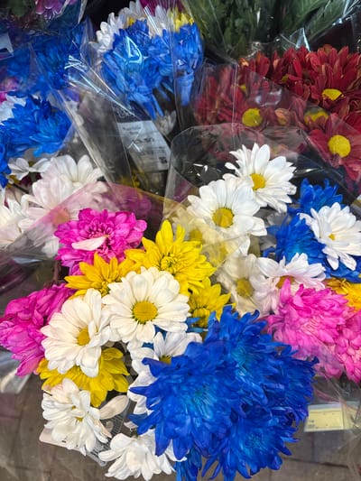 The image shows several bunches of brightly colored chrysanthemums in cellophane wrapping. The colors are red, blue, white, yellow, and pink. A price tag on one of the bunches says "Rainbow Bouquet" and "3.50". The location is identified as being in the city of Oswestry, United Kingdom. There are no people visible in the image.