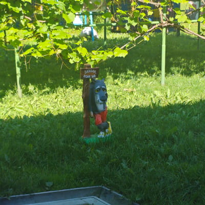 This image shows a garden gnome figure of a wolf leaning against a wooden post. The wolf figure is wearing red shorts and yellow shoes. A sign is attached to the wooden post that reads "ЗАХОЖИ ЕСАН ИО". The figure is placed on a patch of green grass with dappled sunlight. In the background, there are some leafy branches of a vine and a fence. The overall scene appears to be outdoors, likely in a backyard or park setting within the Блужскі сельскі Савет, Belarus. There are no people or animals visible in the image.