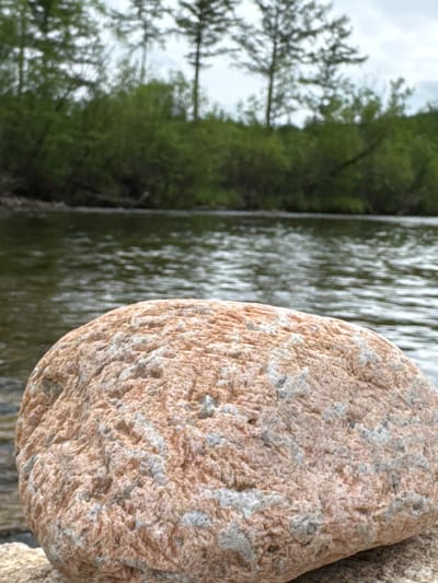 The image displays a close-up of a textured, pinkish-orange boulder resting on a sandy surface, with a body of water in the background. Beyond the water, a dense line of green trees and taller pines are visible against a cloudy sky. The scene appears to be in a natural, outdoor environment. The location provided is Murtygit, Russia.