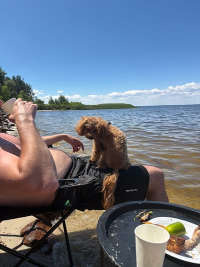 In Lebedivka, Ukraine, a person sits on a camping chair at the edge of a body of water, possibly a lake or the sea. The person is holding a white cup to their lips, and their right arm is resting on their lap, which is covered by black shorts. A small, fluffy, light brown dog is perched on the person's lap, facing away from the camera and looking down. In the foreground, a black circular table holds a white paper plate with remnants of food, including what appears to be a pickle and some meat scraps, along with a disposable white cup. The water is calm with gentle ripples, and the sky is a clear blue with a few scattered white clouds. The background shows a shoreline with green trees and vegetation.