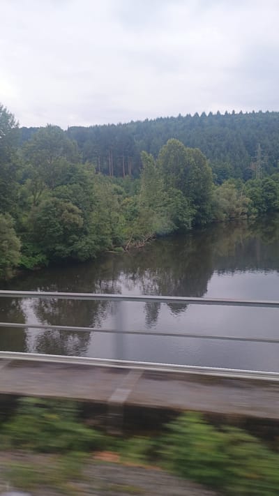 The image shows a wide, calm river reflecting the overcast sky and lush green trees on its banks. In the background, a dense forest covers a sloping hill, with a few tall, slender trees standing out against the darker, broader foliage of the forest. A tall, metallic pylon, likely an electricity pylon, is visible on the right side of the hill, breaking the natural landscape. The foreground shows a blurred section of what appears to be a train or vehicle, with streaks of green vegetation and tracks indicating motion. The river itself is a dominant feature, with its dark, smooth surface interrupted only by gentle ripples. Some branches from overhanging trees dip into the water, adding to the natural, untamed feel of the scene. The overall atmosphere is serene and somewhat melancholic due to the cloudy weather. This vista is characteristic of the natural beauty found along the river Sieg in Windeck, Germany, where such forested hills and riverbanks are common sights.