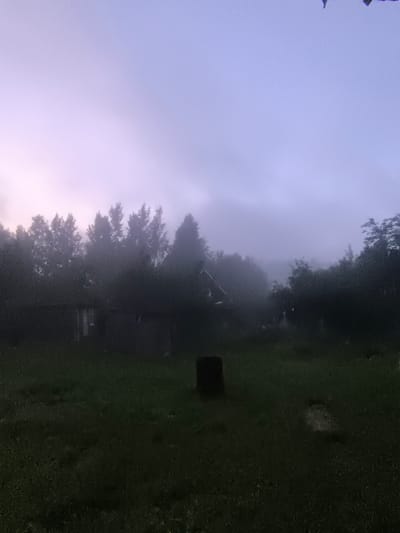 The image depicts a serene, misty rural scene in Posadnikov Ostrov, Russia. The time of day appears to be early morning or late evening, given the soft, diffused light and the purplish-pink hue of the sky. A dense fog blankets the landscape, obscuring distant details and creating a dreamy, almost ethereal atmosphere.

In the mid-ground, a collection of trees forms a dark silhouette against the misty sky. Some of these trees appear to be evergreens, while others are deciduous, their branches indistinct in the fog. Nestled amongst the trees is a small, dark structure, likely a rustic wooden building or shed, partially hidden by the foliage. It's difficult to discern specific details of the structure due to the low visibility.

The foreground is a grassy field, appearing damp and slightly overgrown, typical of a natural, unmanicured rural setting. In the center of the field, a dark, cylindrical object, possibly a barrel or a trash receptacle, stands out against the green. Further to the right, a lighter-colored patch of ground or a stone is visible, suggesting an area that might be cleared or a natural feature.

The overall mood of the image is peaceful and quiet, with a hint of mystery due to the pervasive fog. The lack of human presence enhances the feeling of solitude and natural beauty. There is no visible text in the image. The weather is clearly foggy, adding a layer of atmospheric depth to the scene. The location cues like the style of the building and the type of vegetation suggest a rural area, consistent with Posadnikov Ostrov.