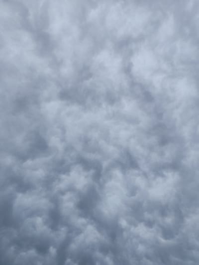 The image shows a cloudy sky with dark, textured clouds. There is a small, dark object resembling a bird or an insect in the upper left quadrant of the image. The sky is overcast and appears to be in a state of flux, with swirling patterns in the clouds. The scene is entirely natural and does not contain any man-made structures or elements of urban life. The location in Dolan, Kazakhstan is not discernible from the image itself.