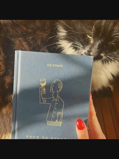 A close-up shot captures a person's hand, with bright red nail polish, holding a book with a blue cover. The book features a minimalist gold illustration of a person holding a wine glass and text in what appears to be Cyrillic script. Behind the book, the fluffy fur of a black and white cat is visible, and its eye is partially open, peering into the frame. The background suggests an indoor setting with wooden flooring. There is no indication or information relating to the city of Saint-Août, France.